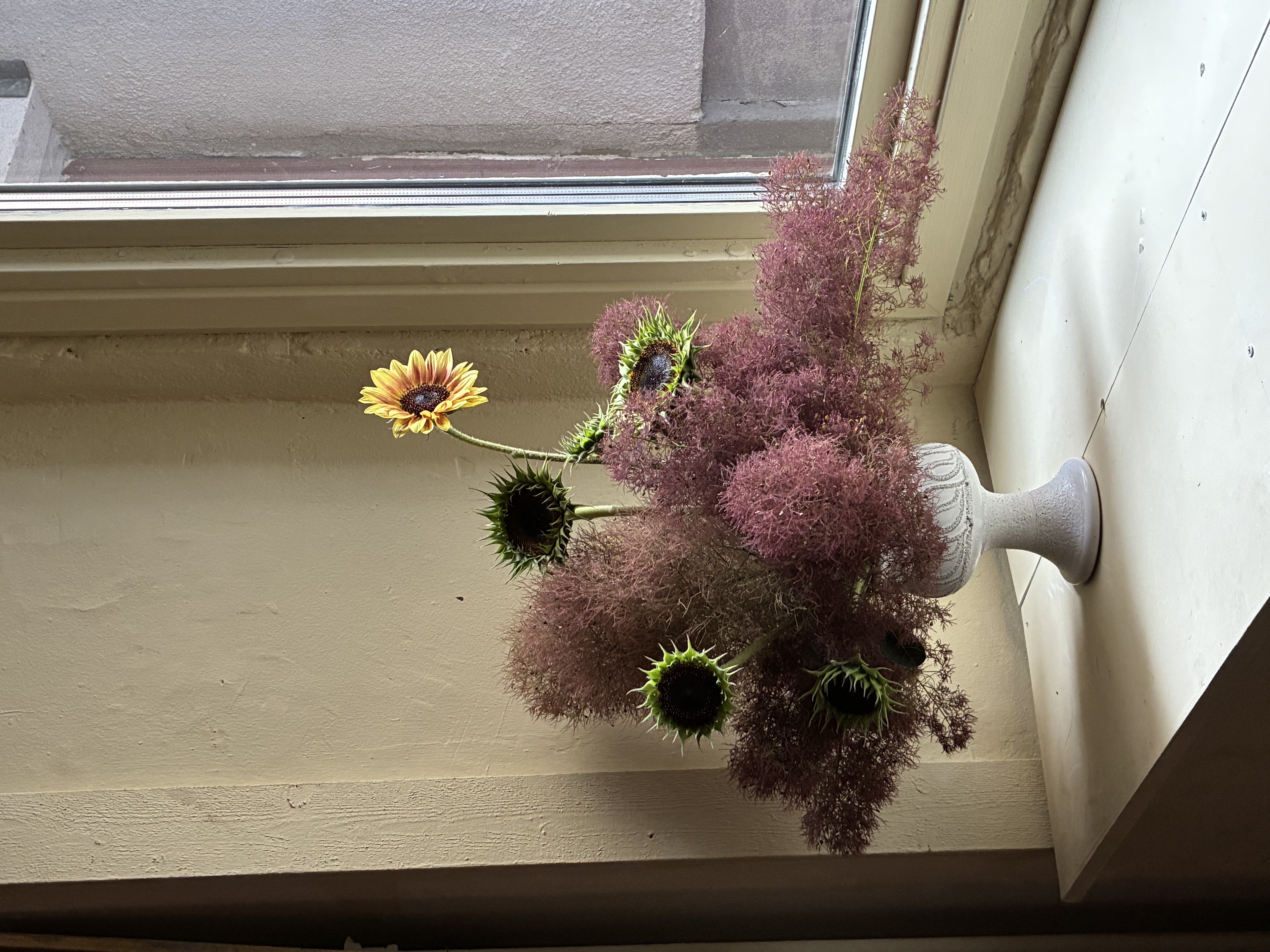 Säsongens Vilda Bunt